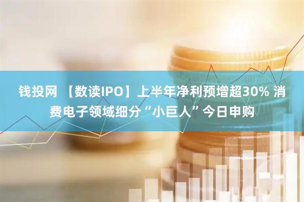 钱投网 【数读IPO】上半年净利预增超30% 消费电子领域细分“小巨人”今日申购