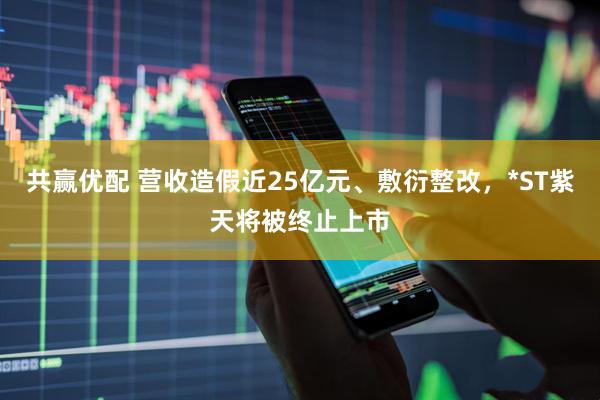共赢优配 营收造假近25亿元、敷衍整改，*ST紫天将被终止上市