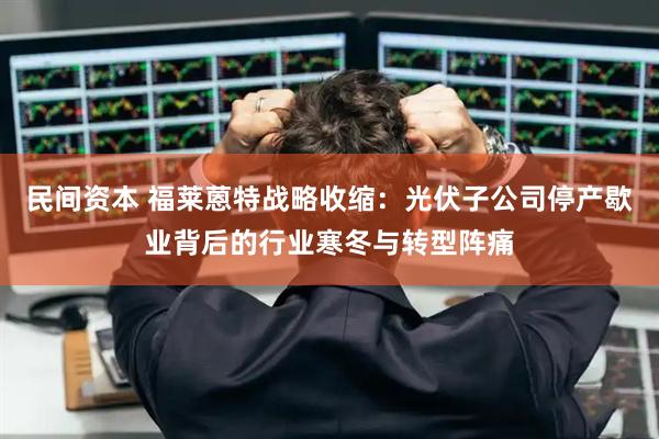 民间资本 福莱蒽特战略收缩：光伏子公司停产歇业背后的行业寒冬与转型阵痛