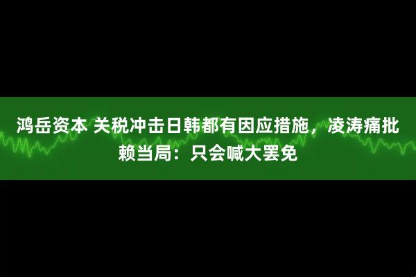 鸿岳资本 关税冲击日韩都有因应措施，凌涛痛批赖当局：只会喊大罢免
