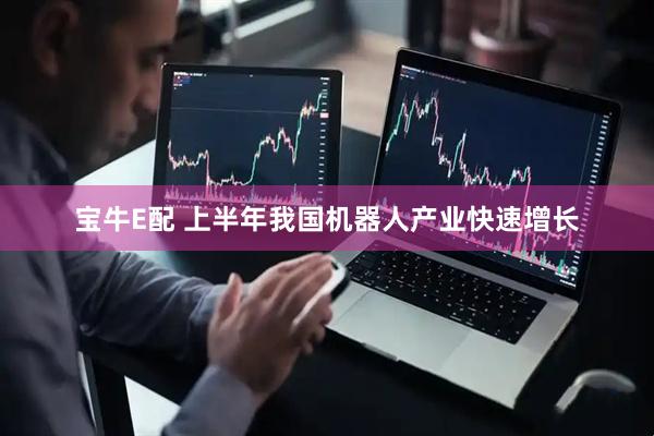 宝牛E配 上半年我国机器人产业快速增长