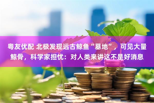 粤友优配 北极发现远古鲸鱼“墓地”，可见大量鲸骨，科学家担忧：对人类来讲这不是好消息