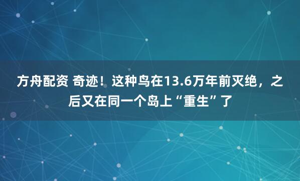 方舟配资 奇迹！这种鸟在13.6万年前灭绝，之后又在同一个岛上“重生”了