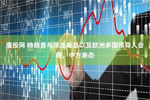 魔投网 特朗普与泽连斯基以及欧洲多国领导人会晤，中方表态