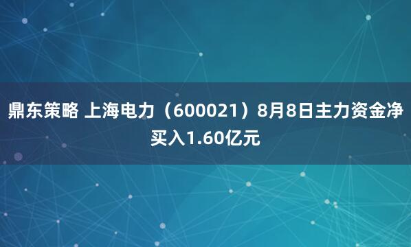 鼎东策略 上海电力（600021）8月8日主力资金净买入1.60亿元
