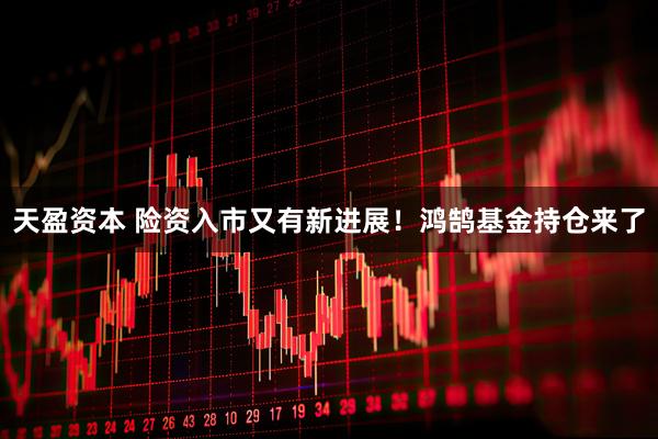 天盈资本 险资入市又有新进展！鸿鹄基金持仓来了